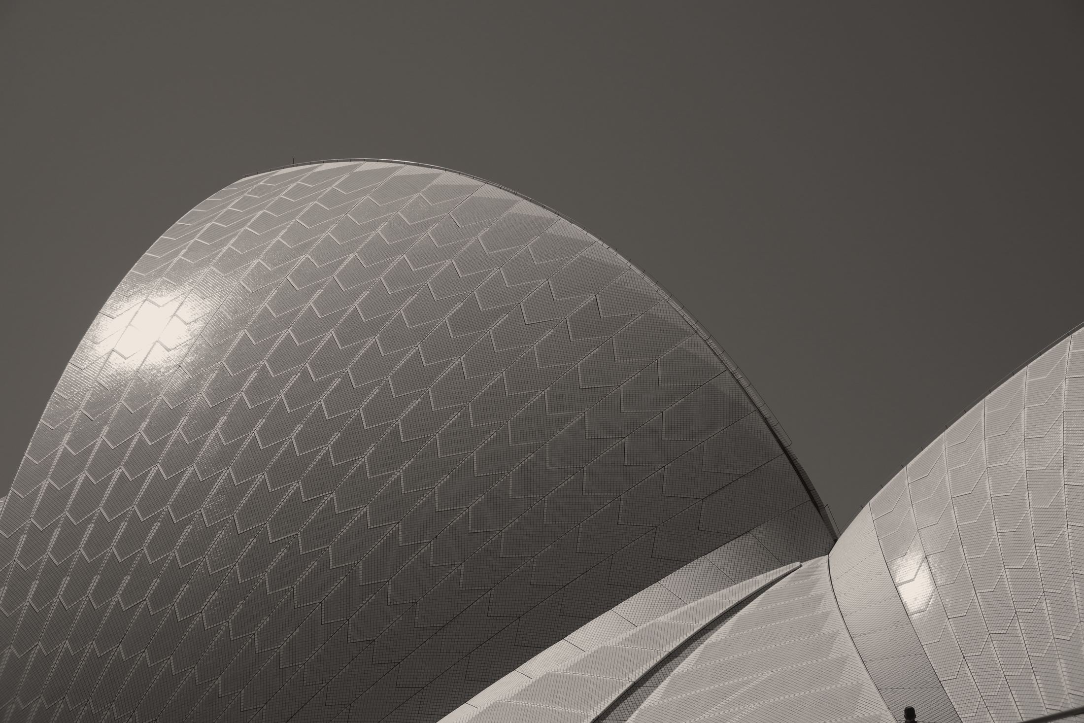 The sails of the Sydney Opera House, filmed by Anna